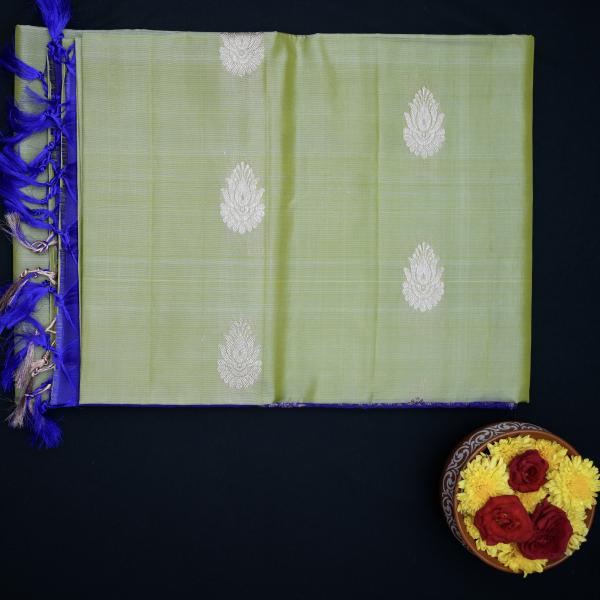 Soft Silk Pastel Green Saree