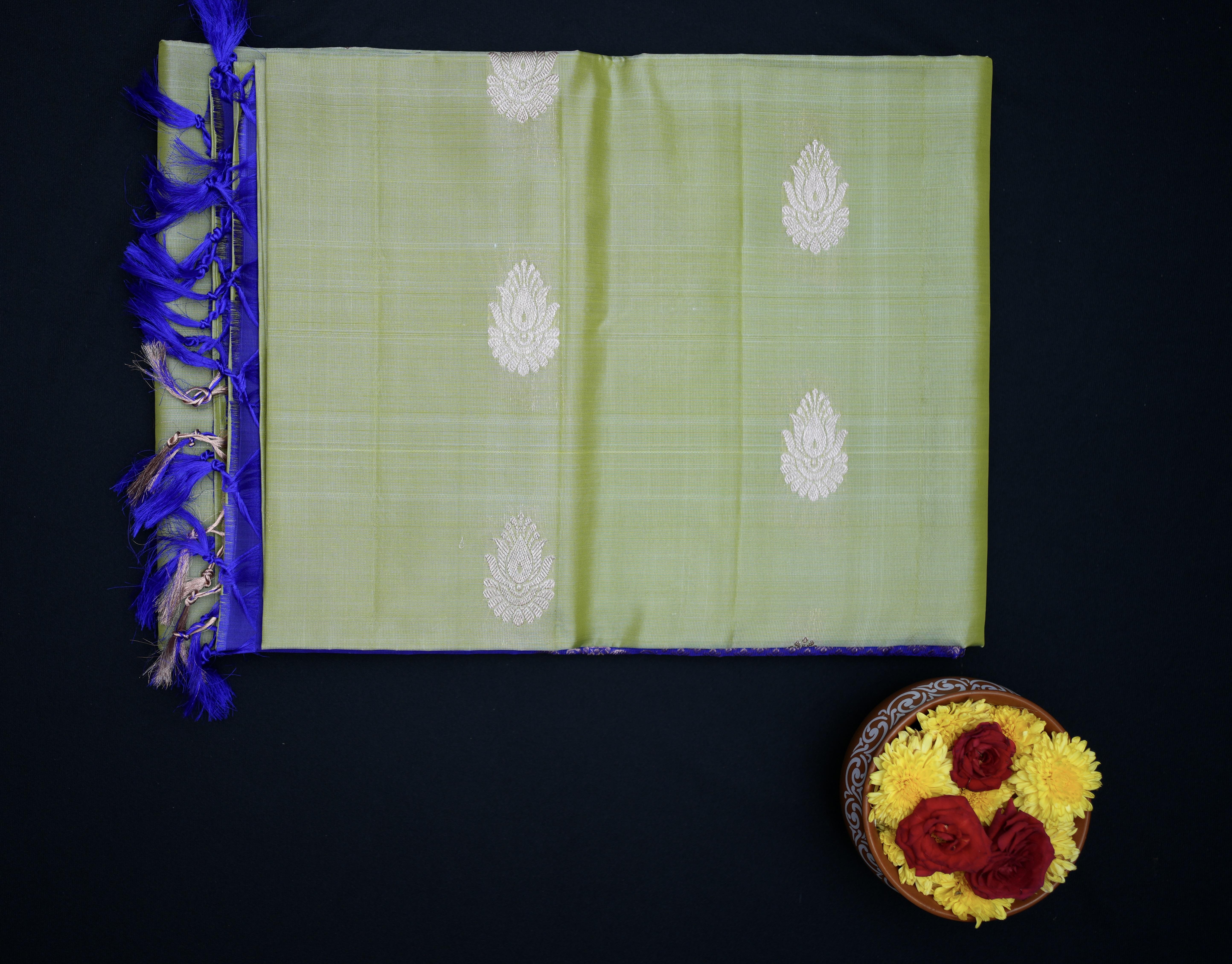 Soft Silk Pastel Green Saree